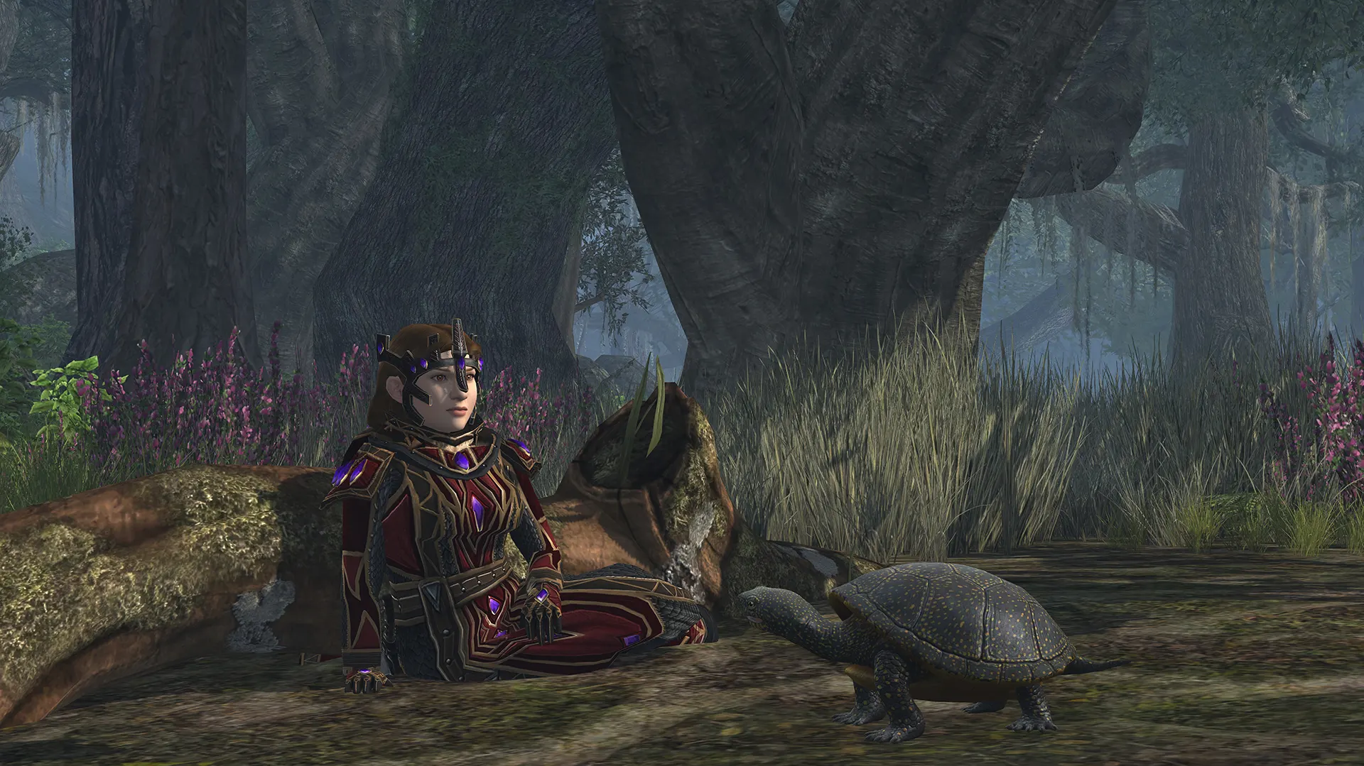 Anklicken zum Zoomen schildi