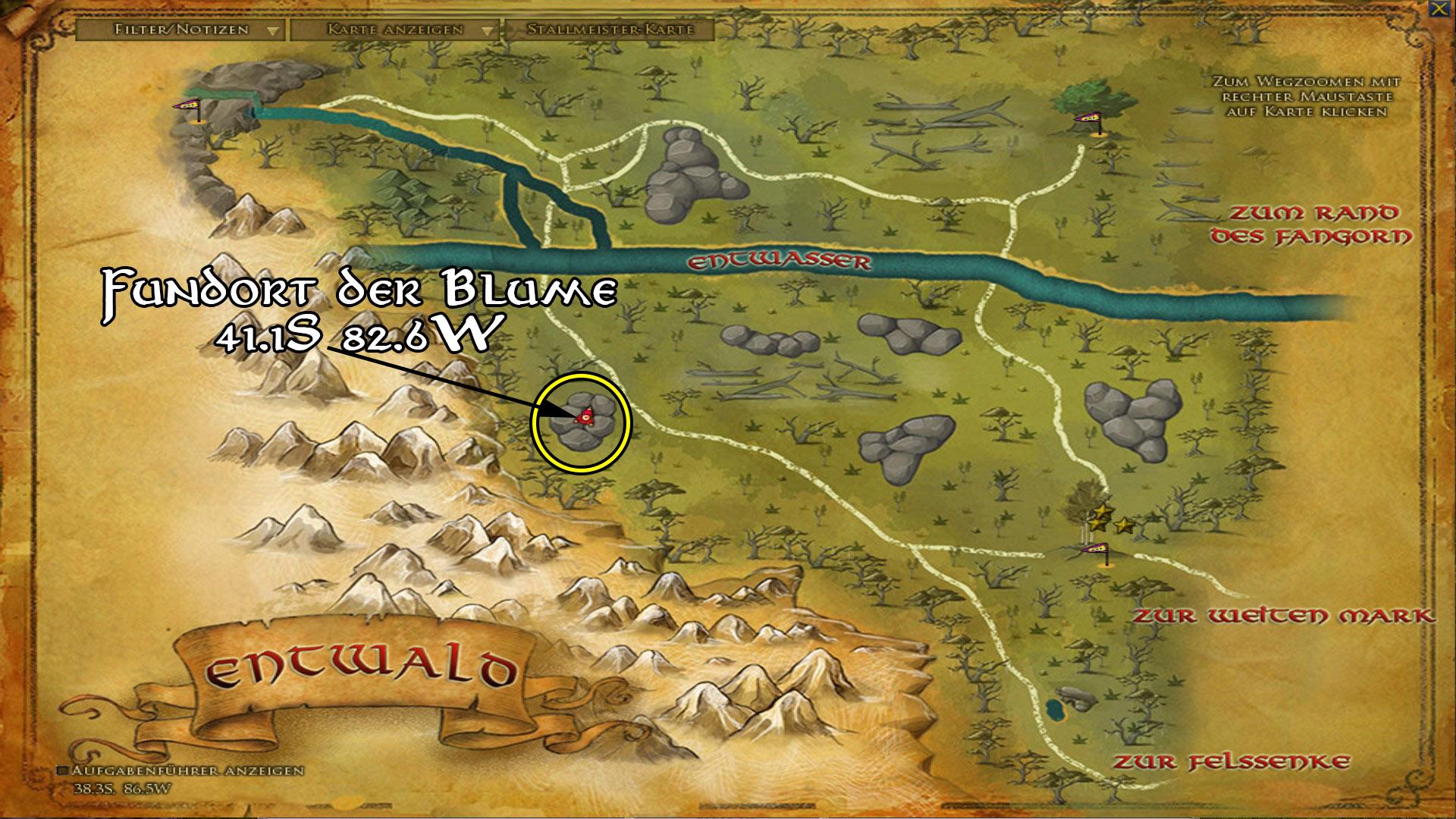 Fundort der Blume im Wald